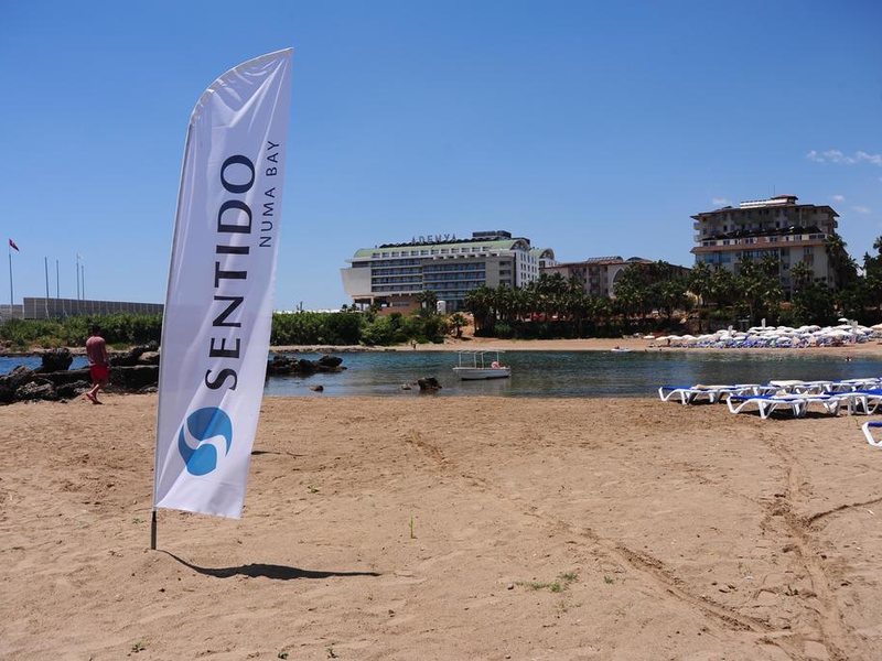 Sentido Numa Bay  176750