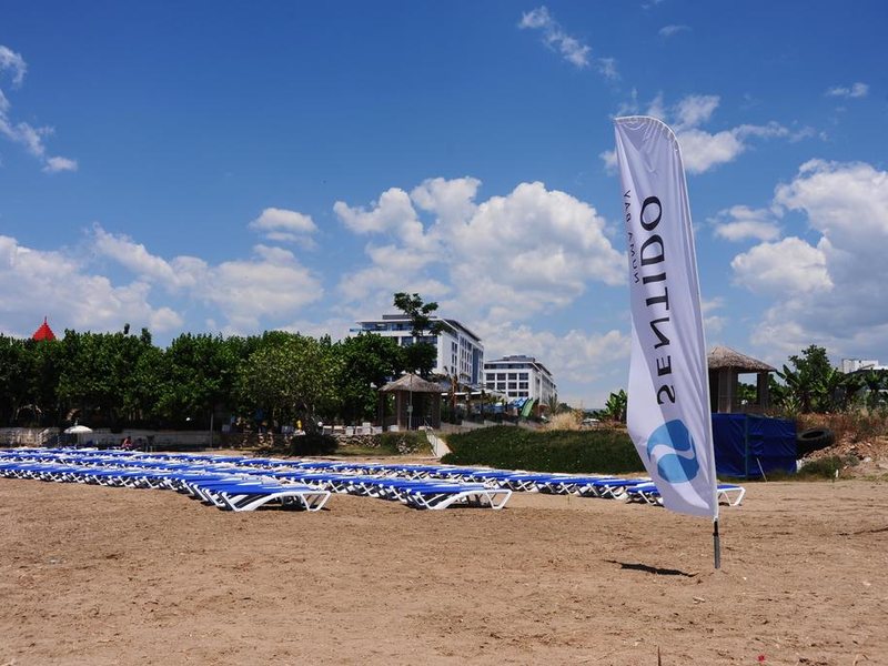 Sentido Numa Bay  176751