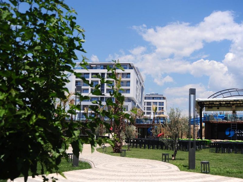 Sentido Numa Bay  176754