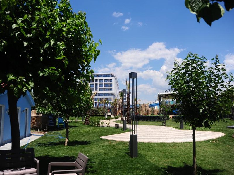 Sentido Numa Bay  176755