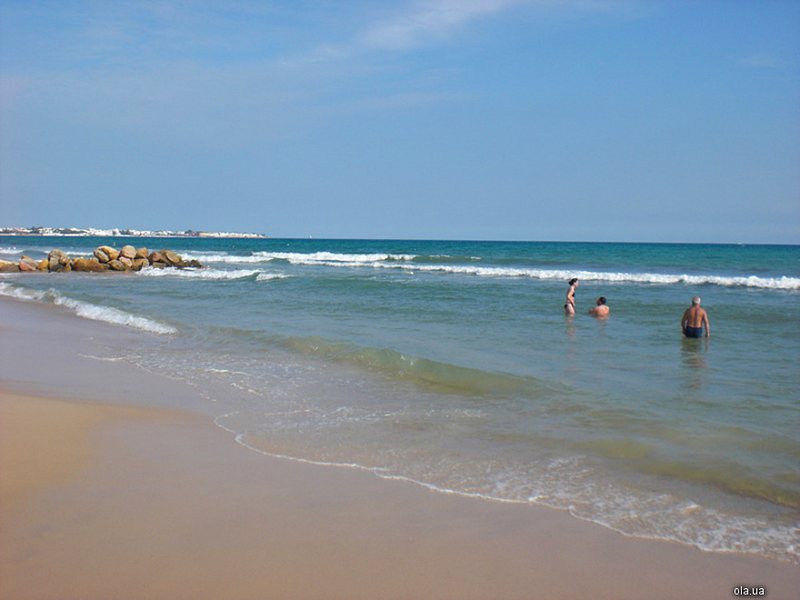 Sentido Phenicia 16262