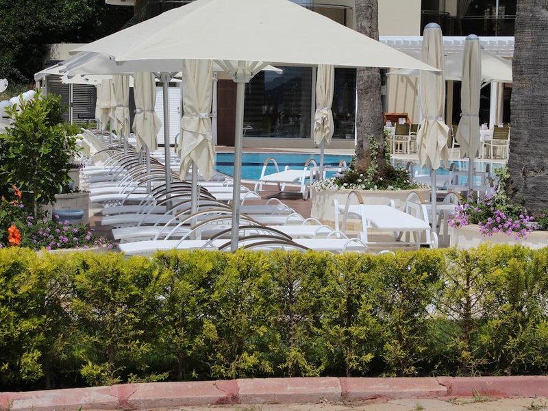 Sentido Sea Star - Adult Only (ex 189699