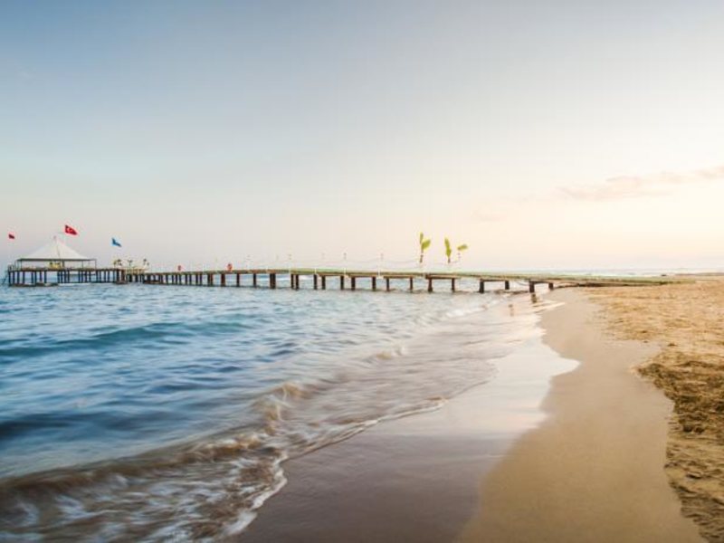 Sentido Turan Prince (ex 103258