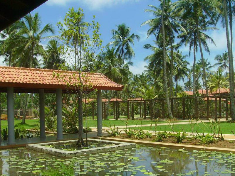 Serene Pavilions  111834