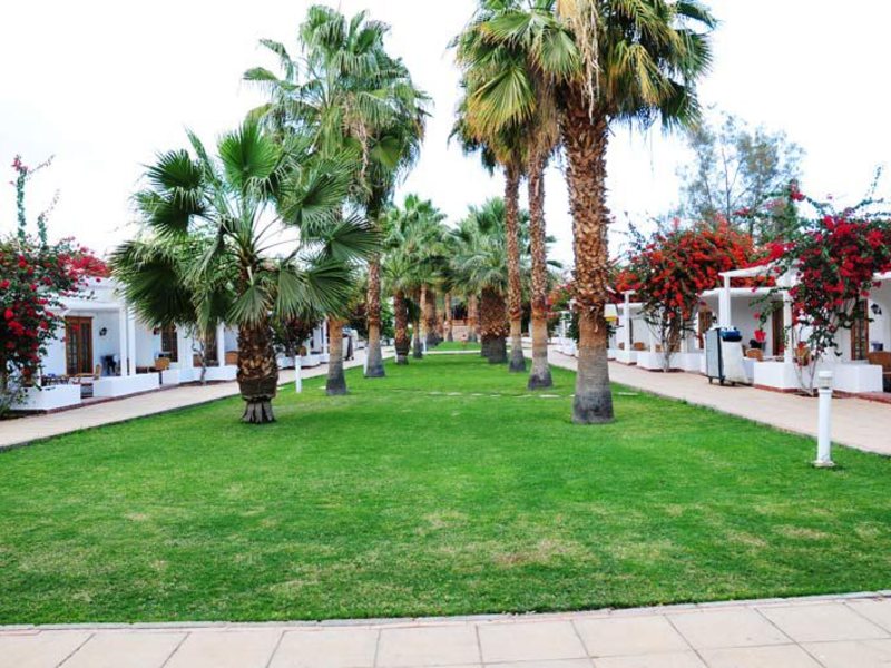 Seti Sharm Palm Beach 27885