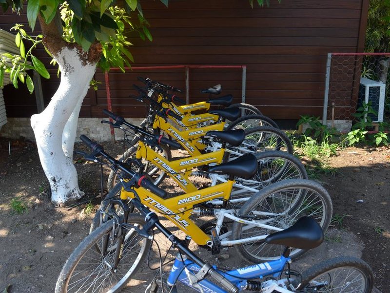 Seven Seasons Hotel 279108