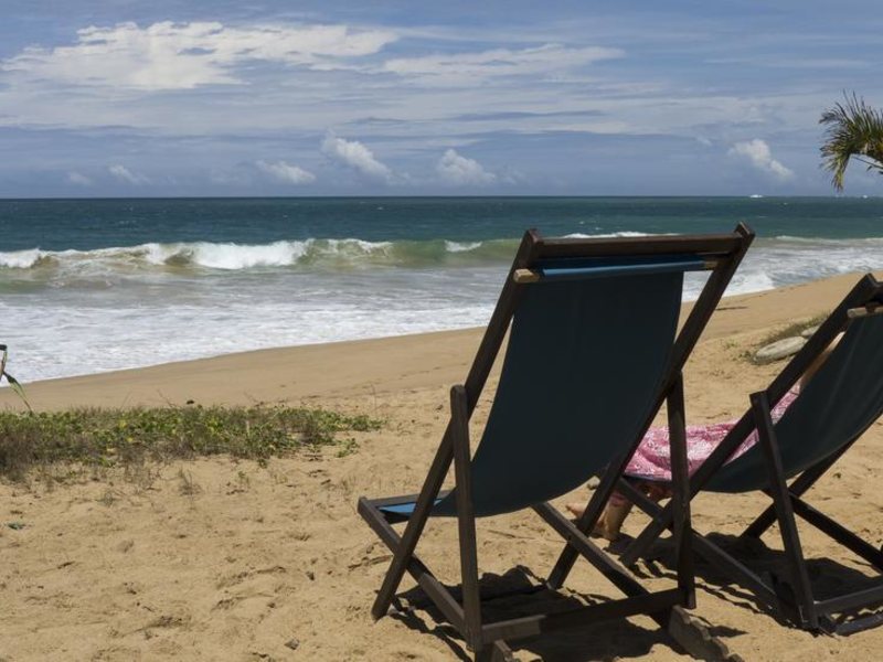 Seven Turtles Apart 112740