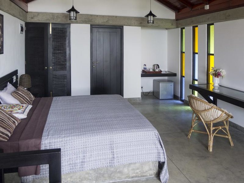 Seven Turtles Apart 112742