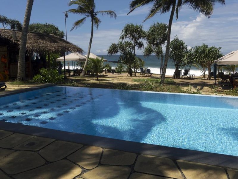 Seven Turtles Apart 112743