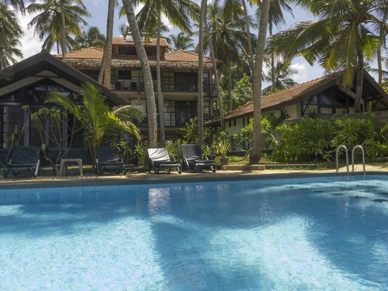 Seven Turtles Apart 112744