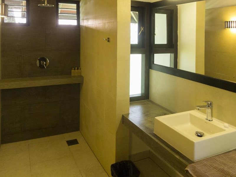 Seven Turtles Apart 112745