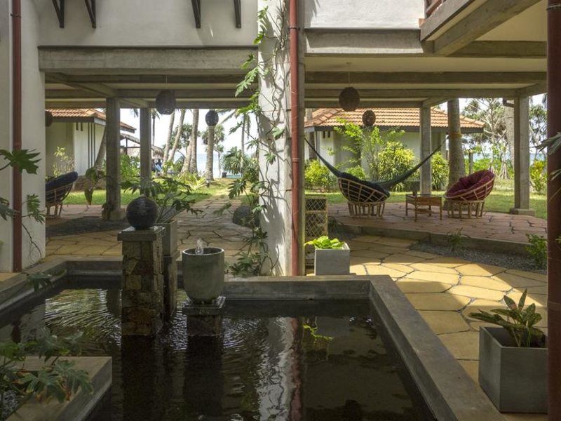 Seven Turtles Apart 112746