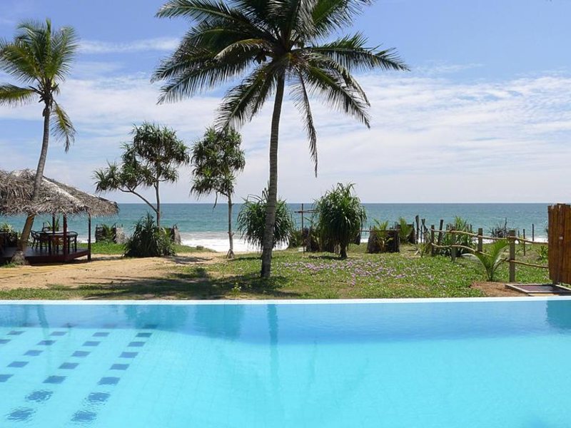 Seven Turtles Apart 112747