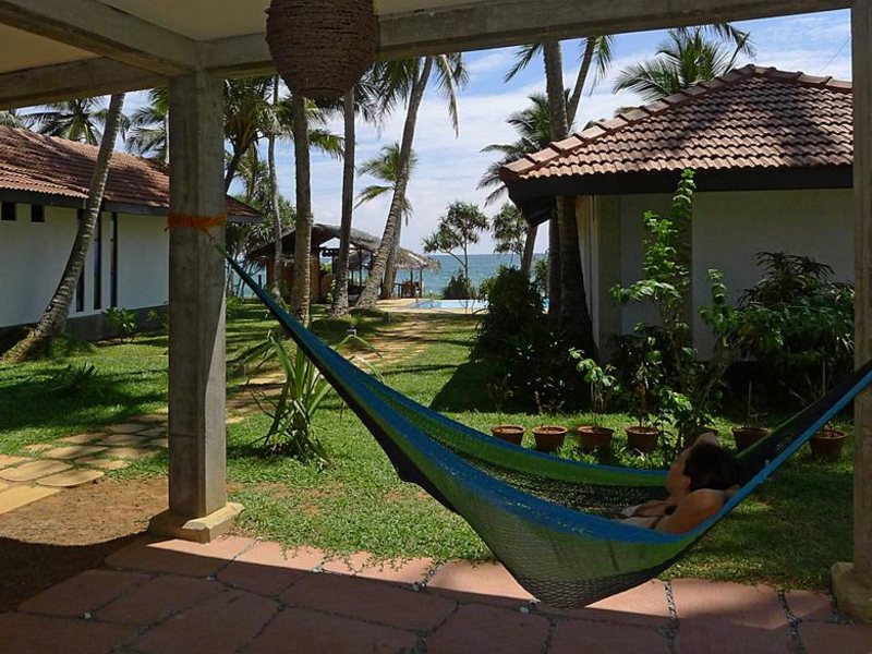 Seven Turtles Apart 112748