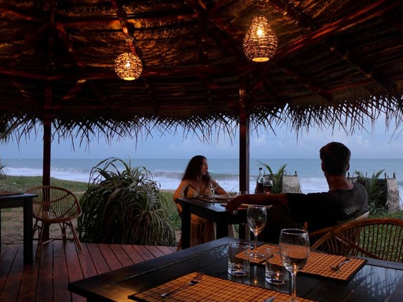 Seven Turtles Apart 112749