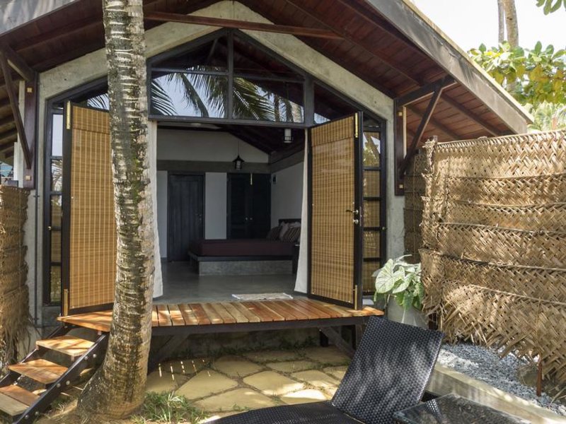 Seven Turtles Apart 112750