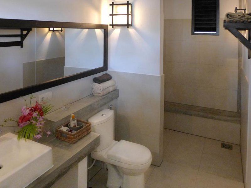 Seven Turtles Apart 112753