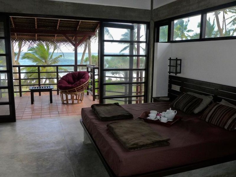 Seven Turtles Apart 112754