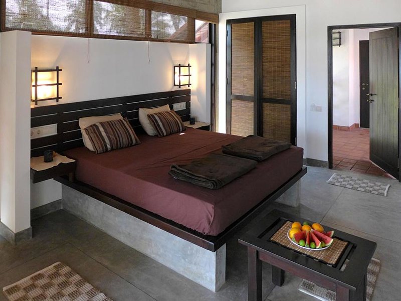 Seven Turtles Apart 112755