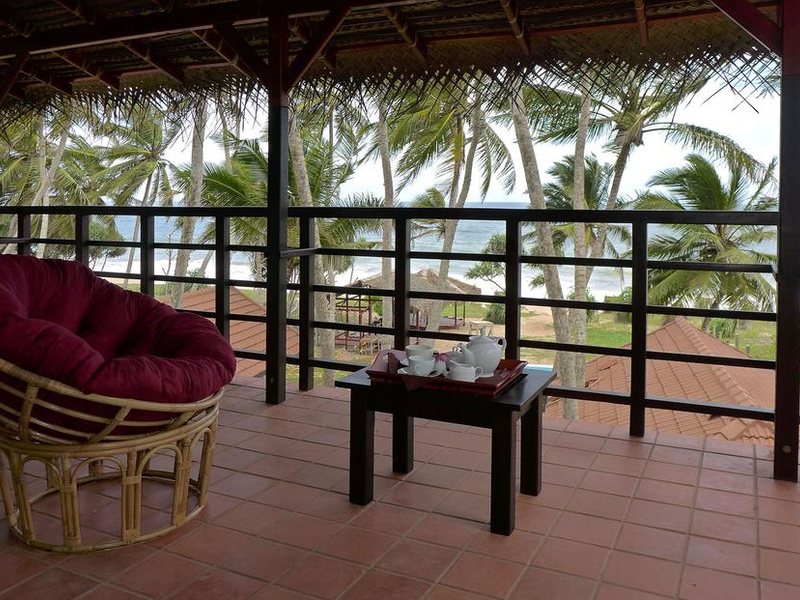 Seven Turtles Apart 112756