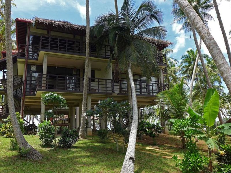 Seven Turtles Apart 112757