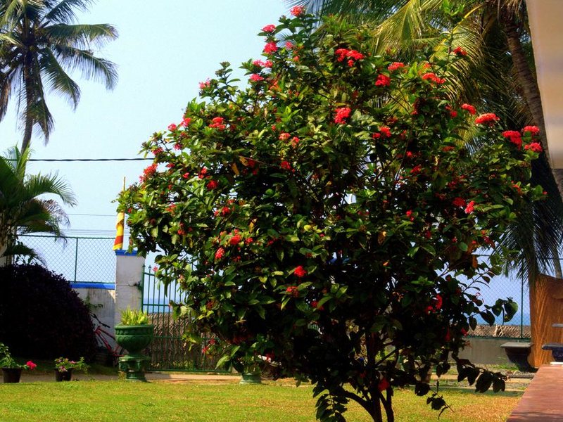 Shangrela Beach Resort 194170