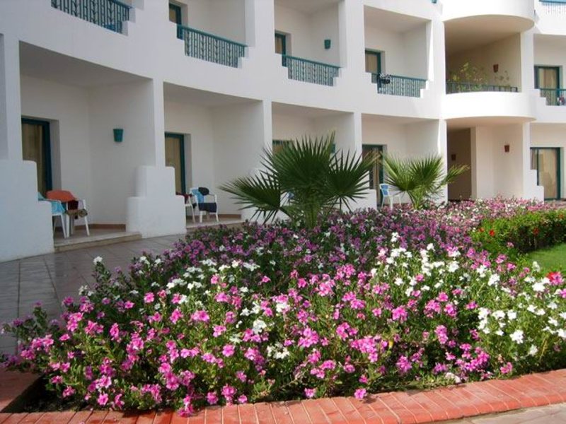 Sharm Cliff Hotel 35621
