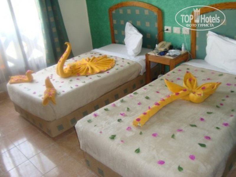 Sharm Elysees 293985