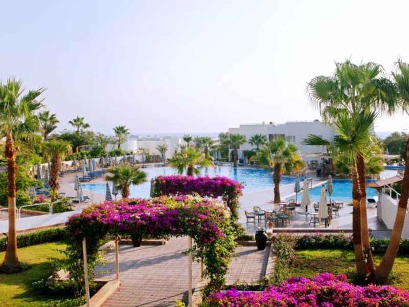 Sharm Reef 157639