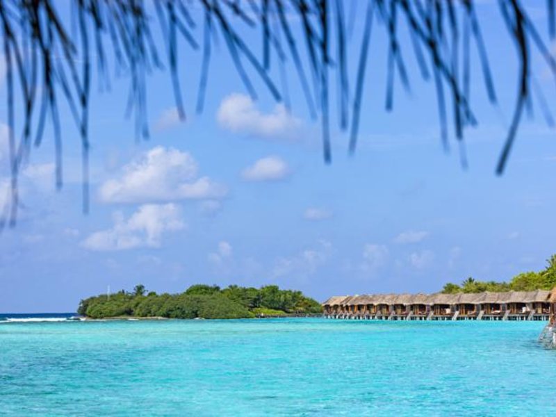 Sheraton Maldives Full Moon Resorts & Spa 136539
