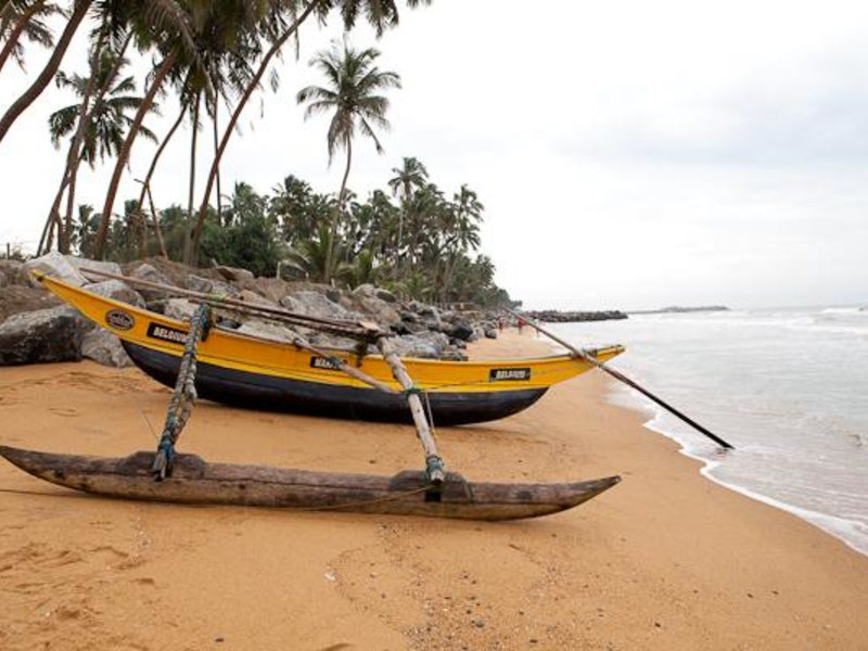 Siddhalepa Ayurveda Health Resort 110678