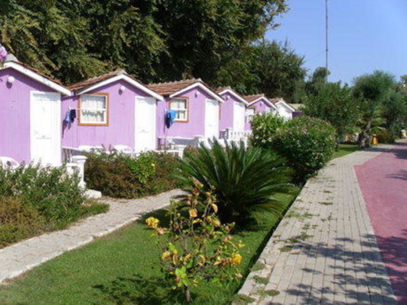 Side Altinkum Bungalow  277368