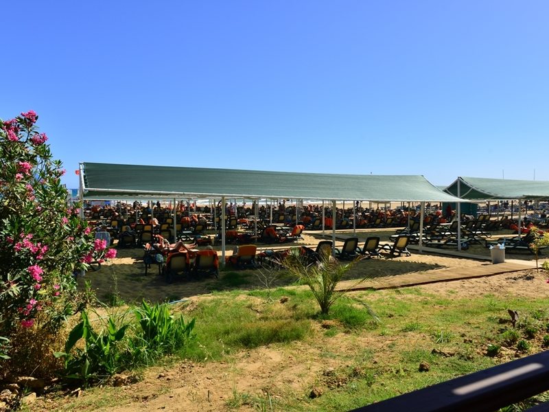 Side Crown Serenity 51947