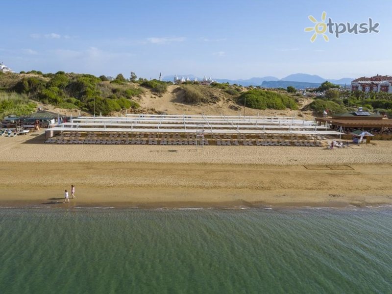 Side Crown Sunshine 296267