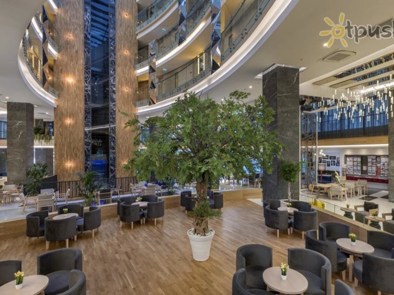 Side Crown Sunshine 296268