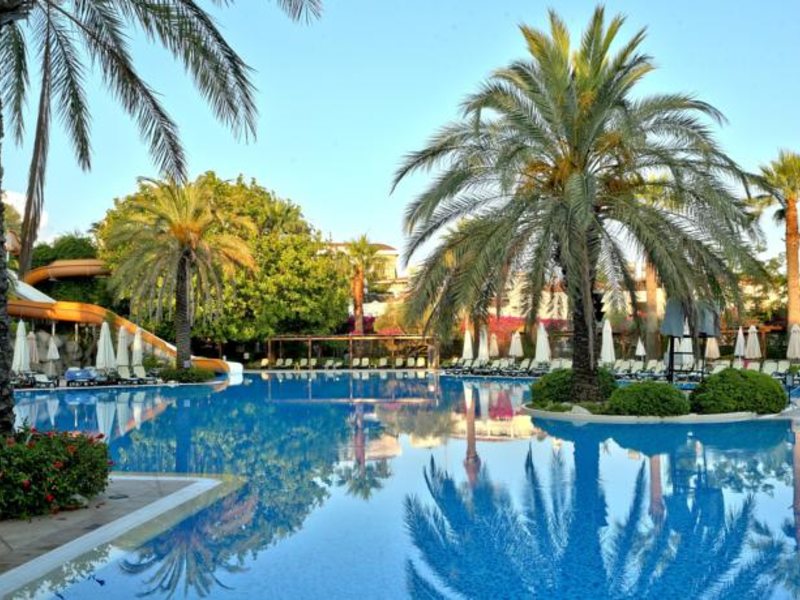 Side Star Elegance (ex 58449