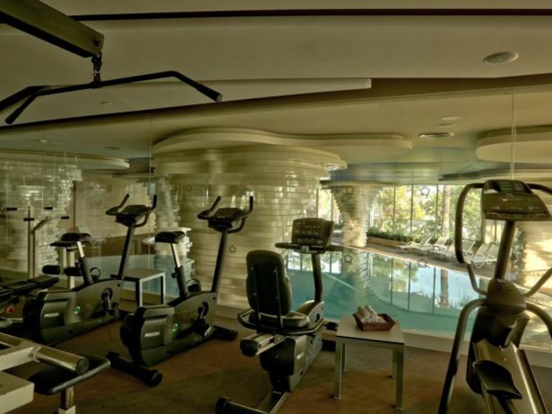 Side Star Elegance (ex 58457