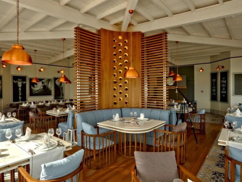 Side Star Elegance (ex 58460