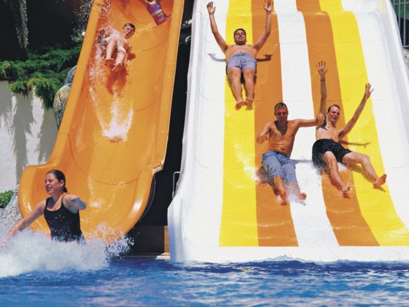 Side Star Elegance (ex 58471