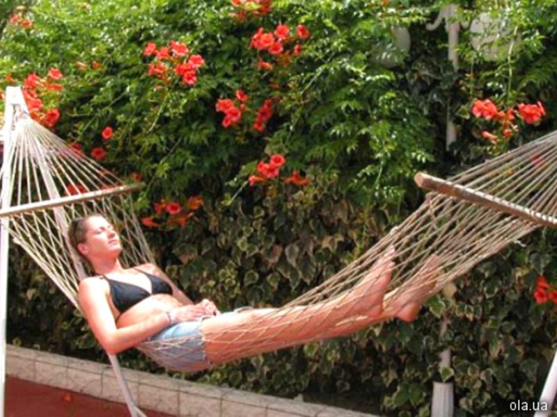 Siesta & Juniper Hotel (ex 8902