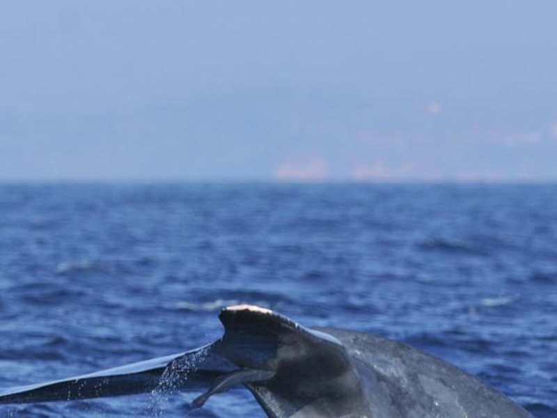 Silan Mo Hotel 108568