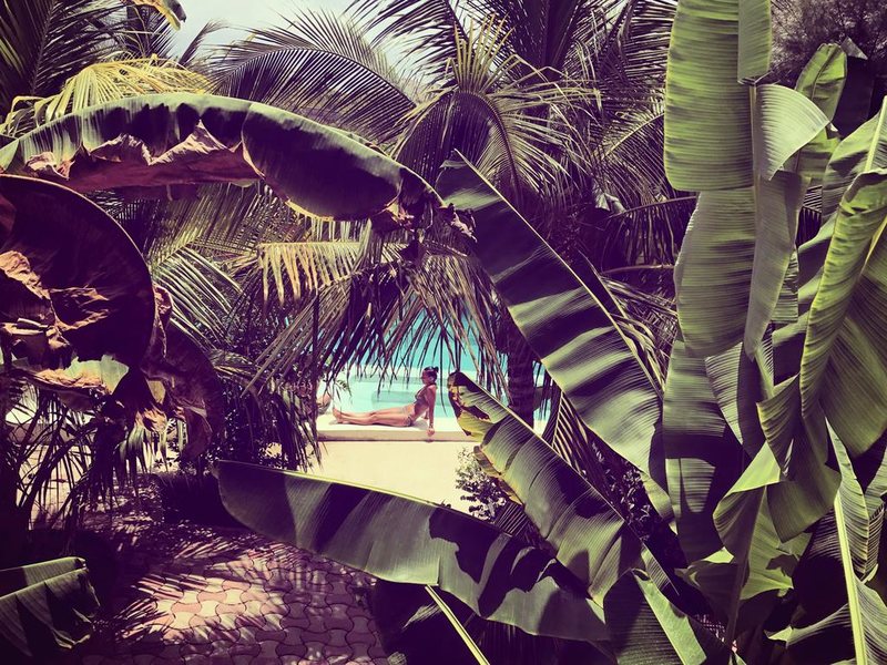 Simba Garden Lodge 202388