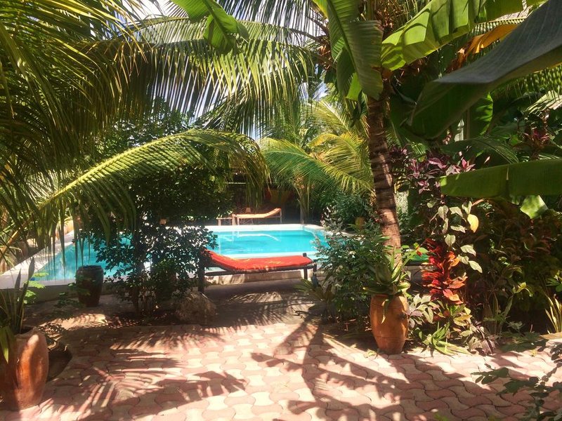 Simba Garden Lodge 202389