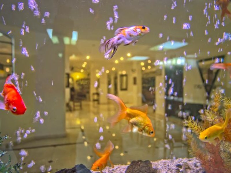 Sinatra Hotel 103723