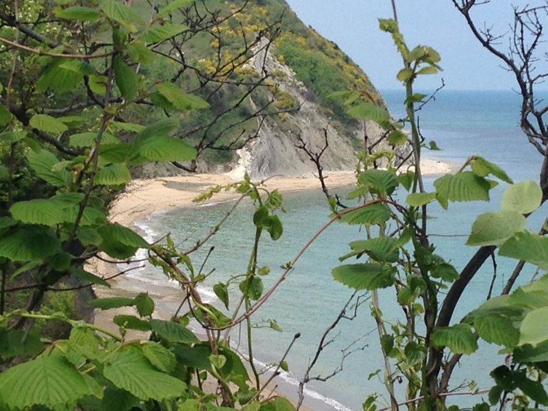 Sirena Apartments (ех 315781