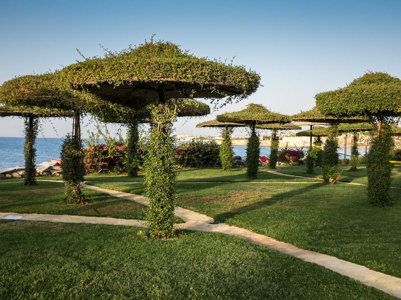 Siva Sharm (ex 128414