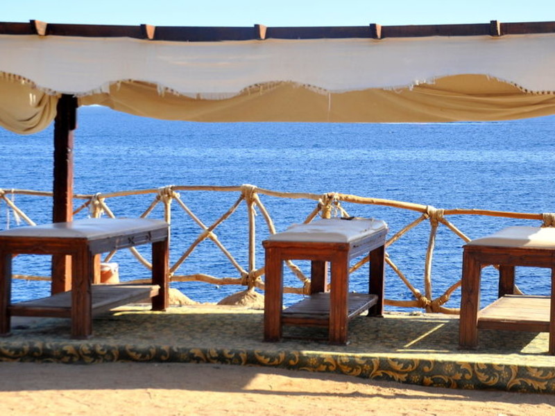 Siva Sharm (ex 128423