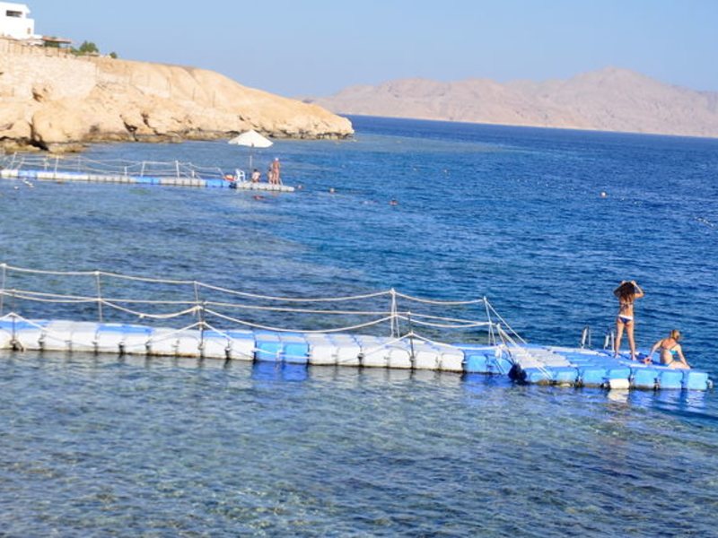 Siva Sharm (ex 128428