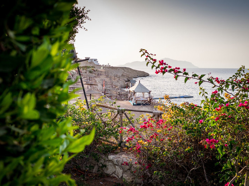 Siva Sharm (ex 128429