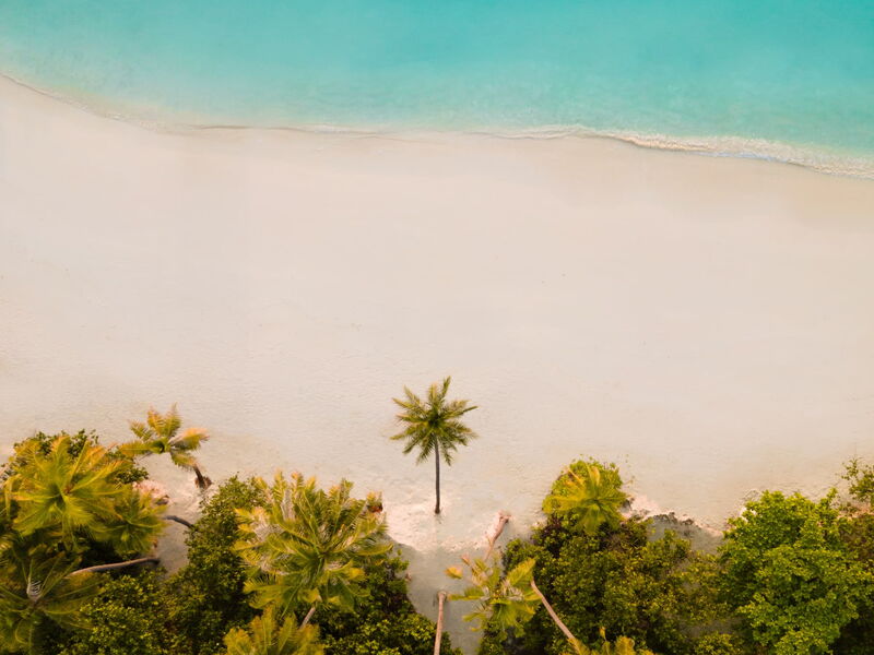 Siyam World Maldives 327370